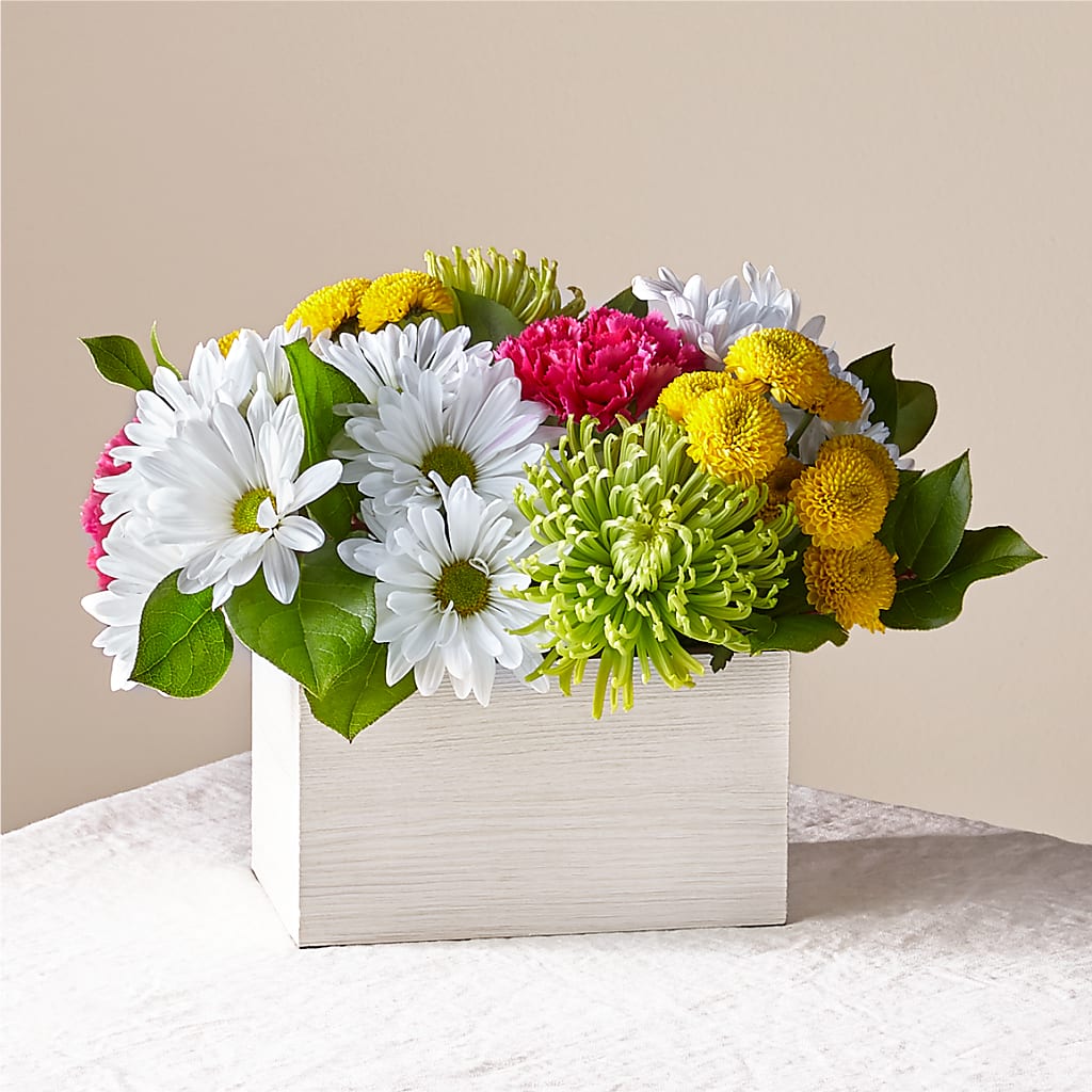 Sorbet Bouquet – Cypress Gardens Flower Shop, Miami FL