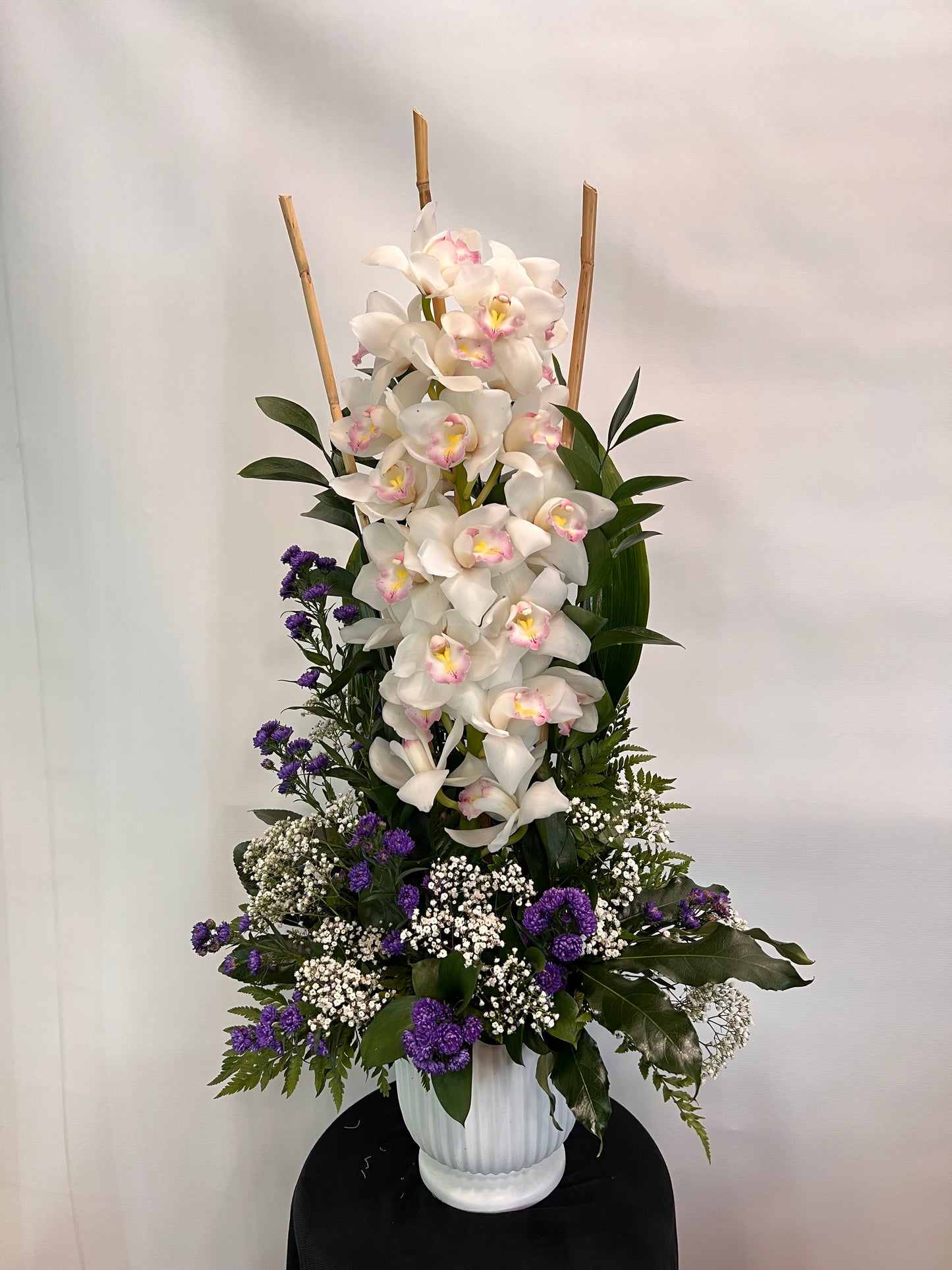Simply Orchids DD-150 – Cypress Gardens Flower Shop, Miami FL