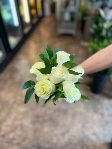 NOSEGAY 6 ROSES // HOMECOMING // WINTER FORMAL N66G – Cypress Gardens Flower Shop, Miami FL