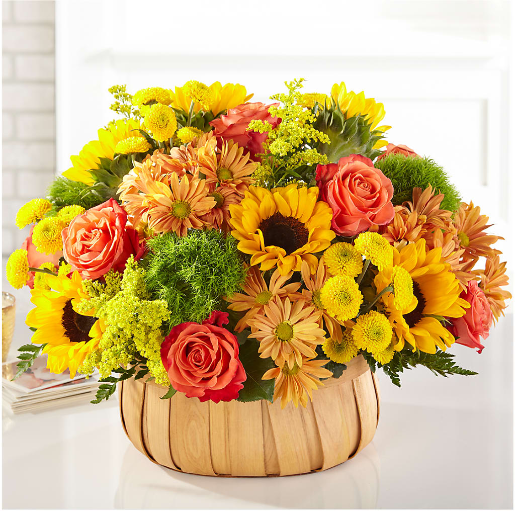 Harvest Sunflower Basket – Cypress Gardens Flower Shop, Miami FL