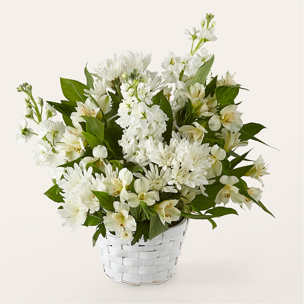 Eternal Affection Arrangement – Cypress Gardens Flower Shop, Miami FL