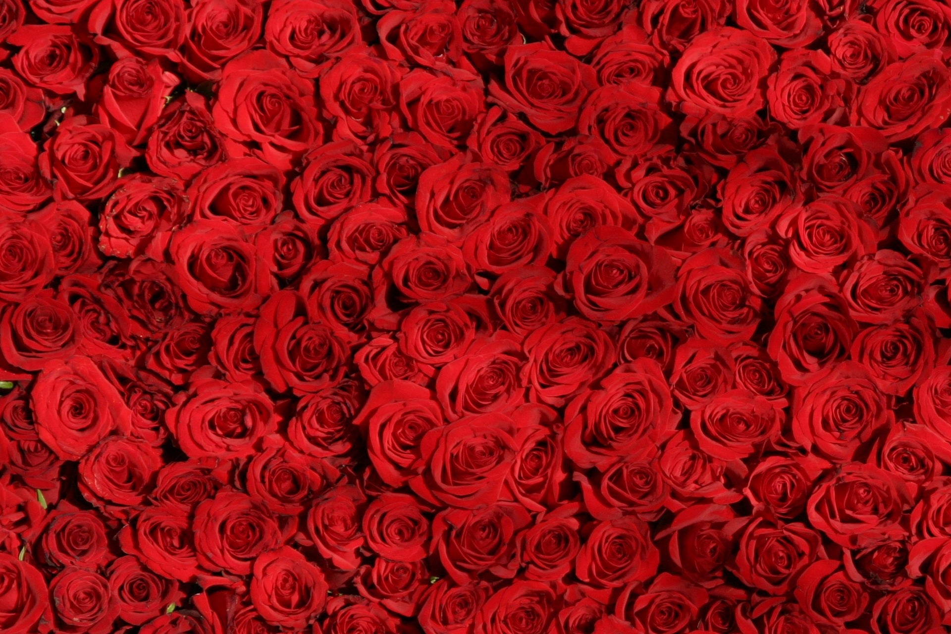 homepageBannerMetadata_Image_1745870426041.jpeg
