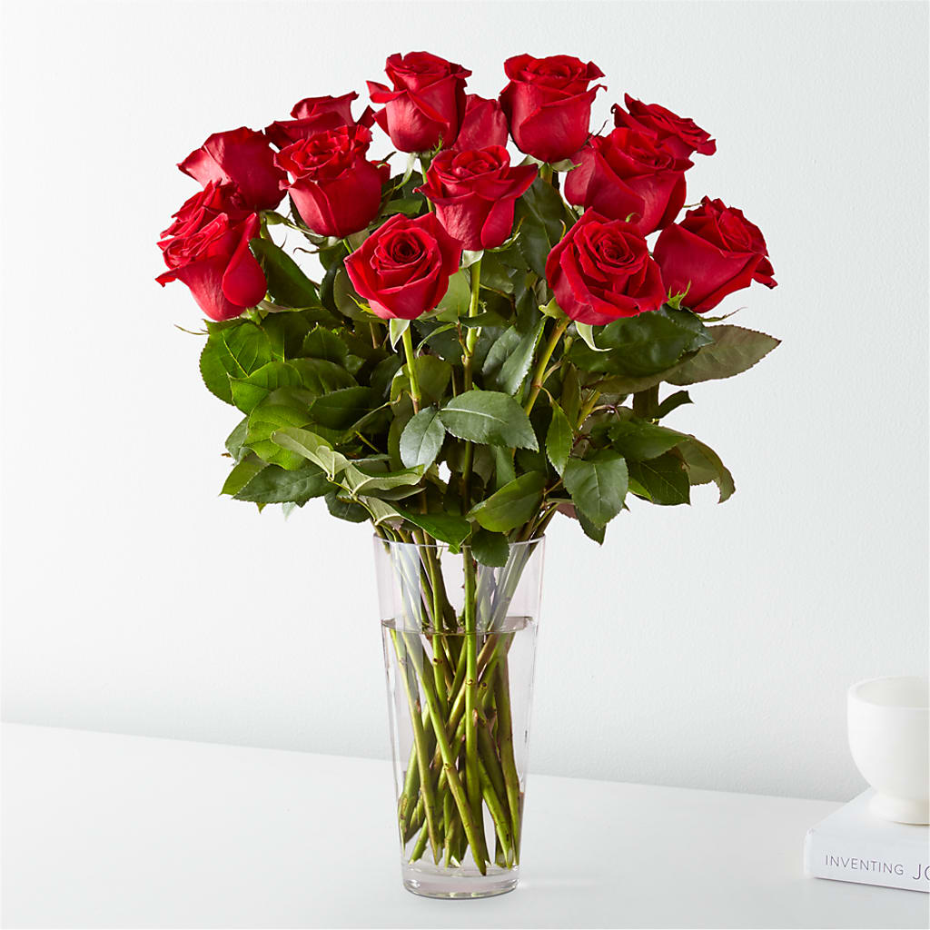 Long Stem Red Rose Bouquet –  Cypress Gardens Flower Shop, Miami FL