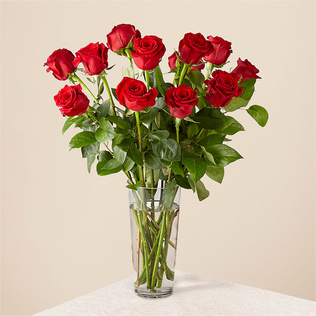 Long Stem Red Rose Bouquet –  Cypress Gardens Flower Shop, Miami FL