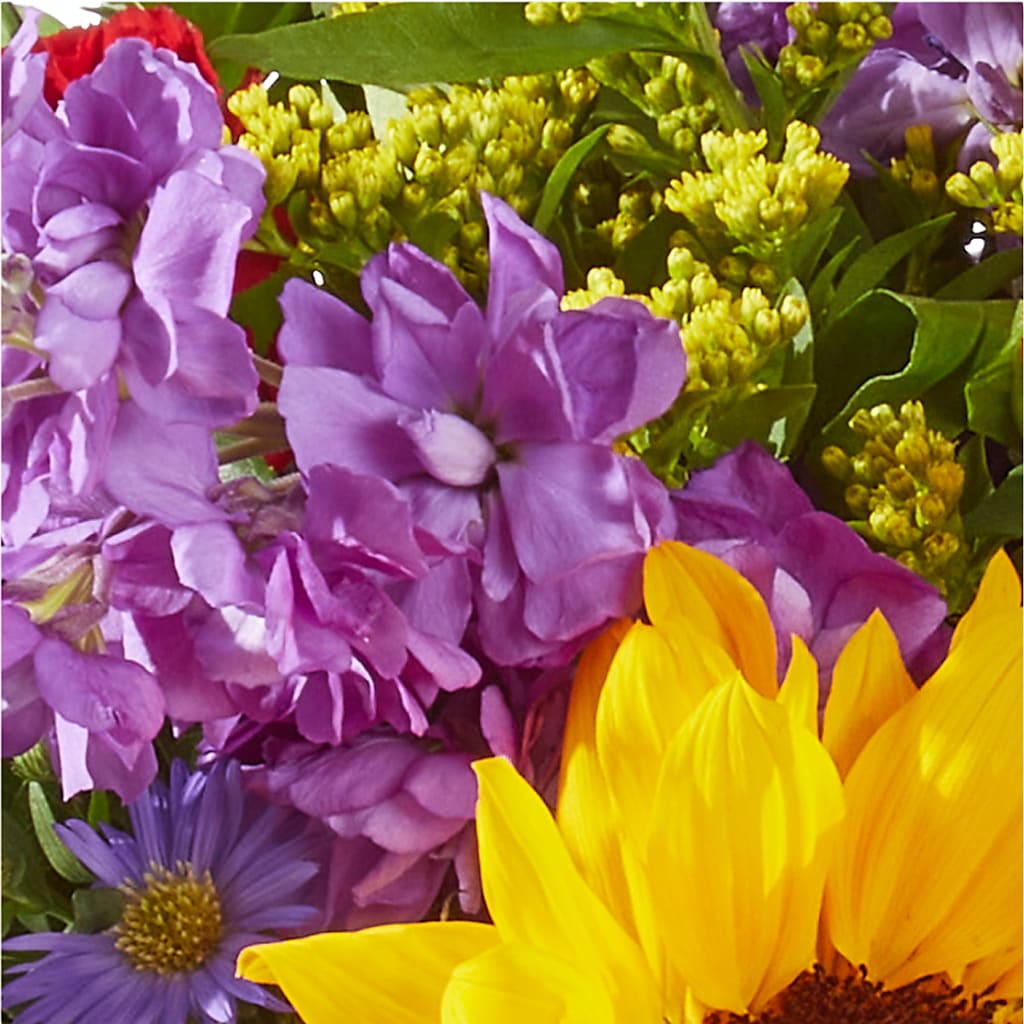 Celebrating You Bouquet –  Cypress Gardens Flower Shop, Miami FL