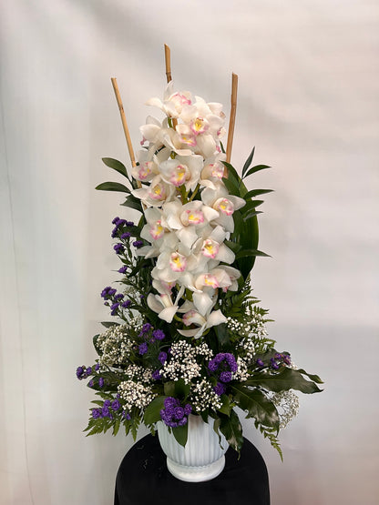 Simply Orchids  DD-150 –  Cypress Gardens Flower Shop, Miami FL