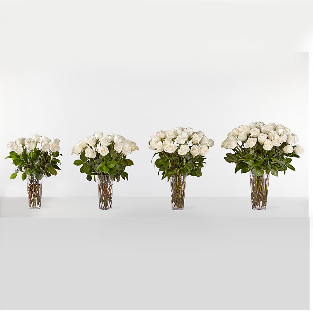 Long Stem White Rose Bouquet –  Cypress Gardens Flower Shop, Miami FL