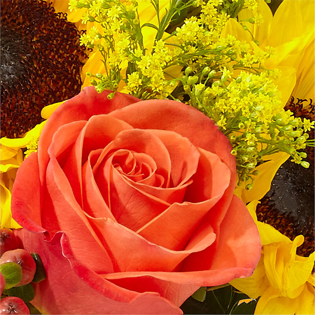 Pick of the Patch Pumpkin Bouquet –  Cypress Gardens Flower Shop, Miami FL