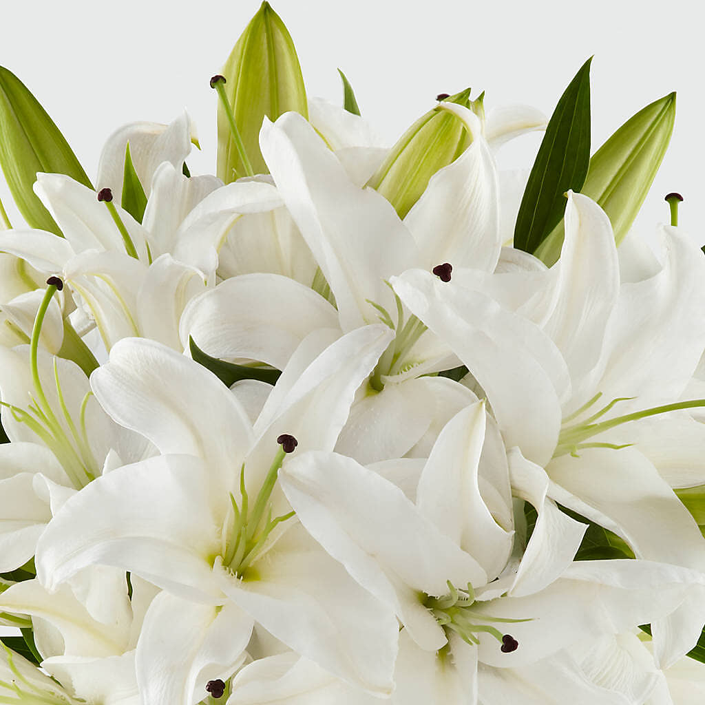 Faithful Blessings Bouquet –  Cypress Gardens Flower Shop, Miami FL