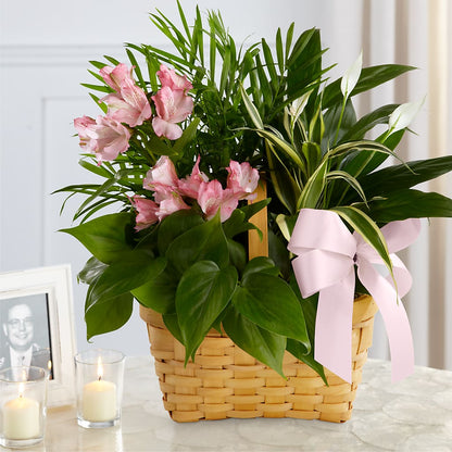 Living Spirit Dishgarden –  Cypress Gardens Flower Shop, Miami FL
