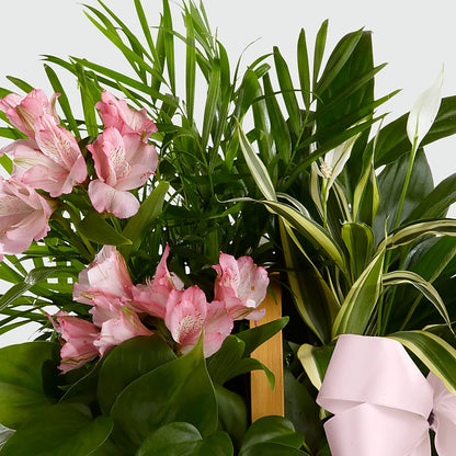 Living Spirit Dishgarden –  Cypress Gardens Flower Shop, Miami FL
