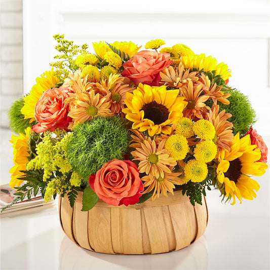Harvest Sunflower Basket –  Cypress Gardens Flower Shop, Miami FL