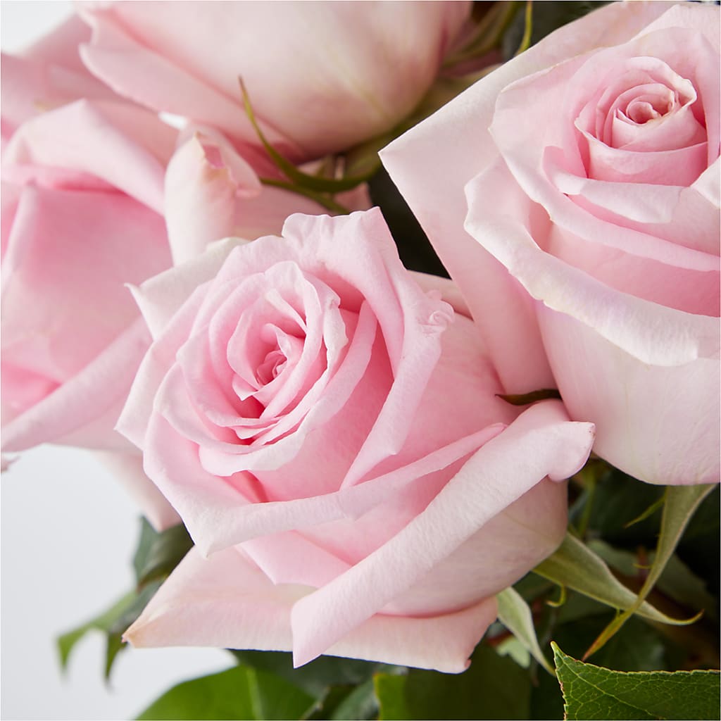 Picture Perfect Pink Rose Bouquet –  Cypress Gardens Flower Shop, Miami FL