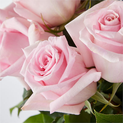 Picture Perfect Pink Rose Bouquet –  Cypress Gardens Flower Shop, Miami FL