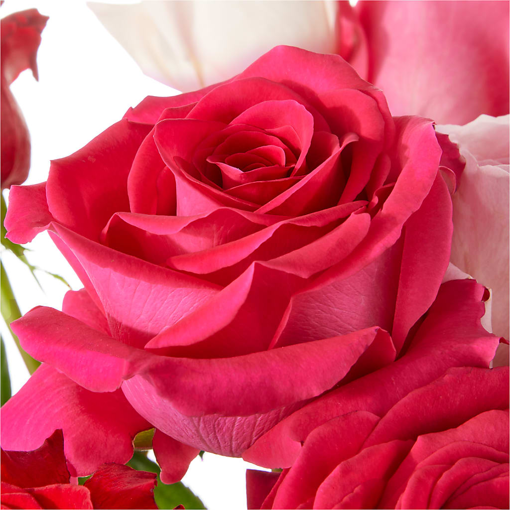 Love Notes Rose Bouquet –  Cypress Gardens Flower Shop, Miami FL