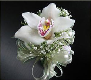 Cymbidium Orchid Corsage